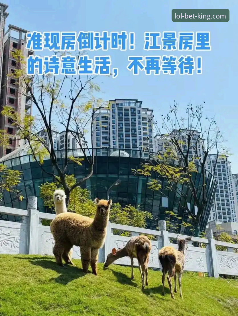 LOL实时赔率评测 资深用户分享:1084天等待,博格巴首发归来——从英雄联盟官网看职业球员的逆袭密码